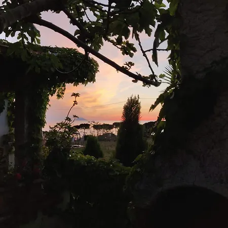 Villa Giulia-2